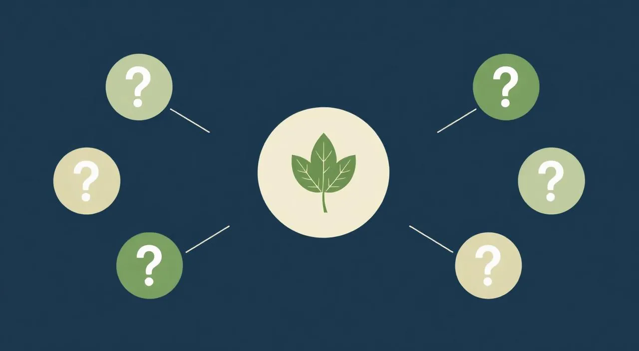 5 Questions to Ask Before Exploring Alternative Healthcare Options
